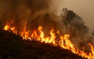 Comment la Corse a réduit par six les feux de forêts depuis les années 80