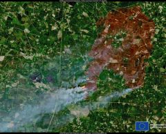 Feux de forêt : comment les satellites aident les pompiers