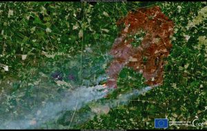 Feux de forêt : comment les satellites aident les pompiers