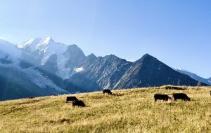 Sécheresse dans les Alpes : les glaciers, des bombes à retardement ?