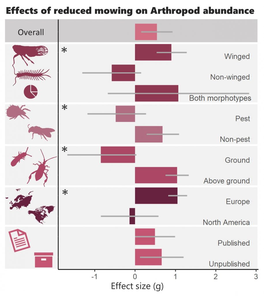 L'effet d'une fréquence réduite de la tonte sur la présence d'insectes dans un espace vert en zone urbaine. Crédit : https://www.sciencedirect.com