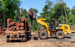 Déforestation importée : la législation européenne peut-elle changer la donne ?