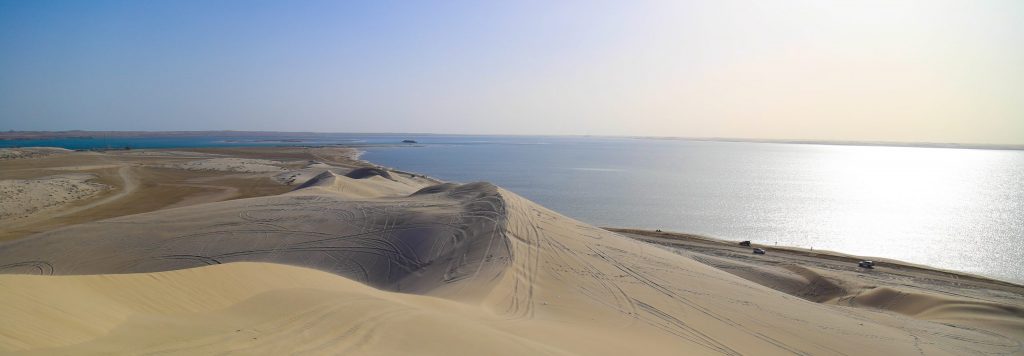 Qatar Desert