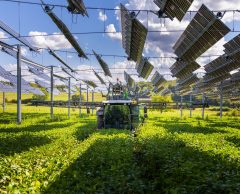 TSE Energy : l’agrivoltaïque au coeur de projets innovants