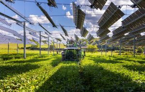 TSE Energy : l’agrivoltaïque au coeur de projets innovants
