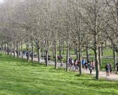 EcoTrail Paris : en course aussi, il faut penser à son empreinte carbone