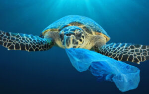 2,3 millions de tonnes : la pollution plastique des océans progresse encore