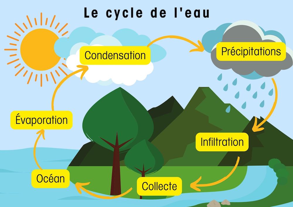 cycle de l'eau