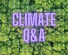 Climate Q&A : l’intelligence artificielle se met au service de l’écologie