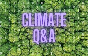 Climate Q&A : l’intelligence artificielle se met au service de l’écologie