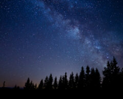 Profitez des étoiles maintenant car la pollution lumineuse les fait disparaître peu à peu