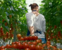 Agriculture bio : pourquoi le secteur marque le pas en France ?