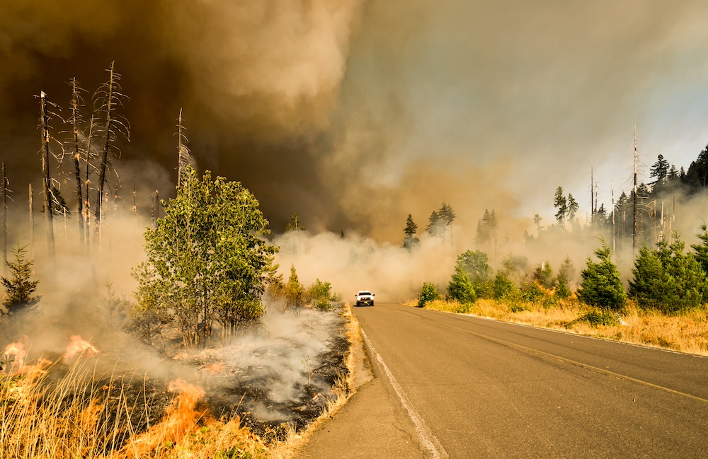 incendie de forêt