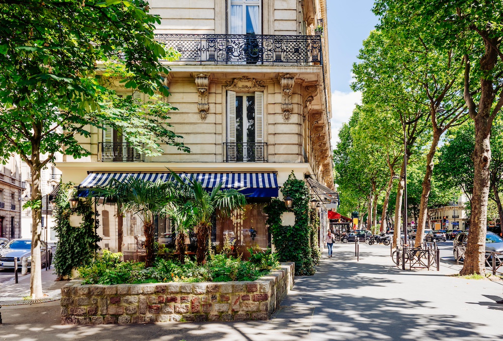 Verdure boulevard Saint-Germain