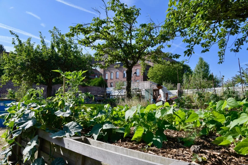 ferme urbaine roubaix