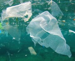 Les PHAs, des plastiques plus respectueux des écosystèmes et de la santé humaine