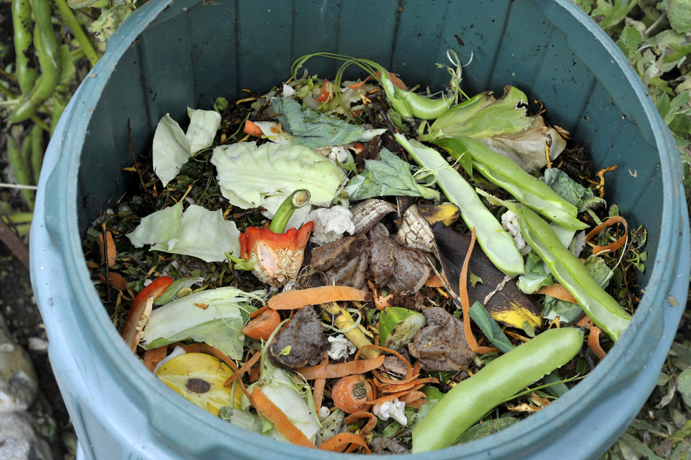 Compost domestique