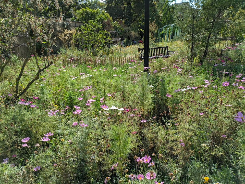 jardin des Tournelles de courbevoie