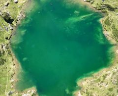Dans les Pyrénées, les lacs verdissent… et ce n’est pas une bonne nouvelle