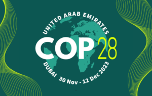 « Cette COP28 à Dubaï risque d’être une opération de greenwashing XXL »