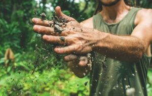 Comment retrouver des sols plus sains ? Des solutions pour la gestion durable des terres