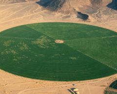 Oasis vertes : comment les microalgues de HyveGeo transforment le désert en terre fertile