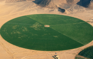 Oasis vertes : comment les microalgues de HyveGeo transforment le désert en terre fertile