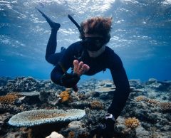 Titouan Bernicot (Coral Gardeners) : « Jardinier du corail, un métier d’avenir qui redonne des couleurs à l’océan »