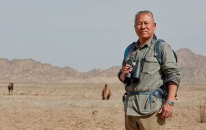 Il faut sauver le chameau du désert de Gobi