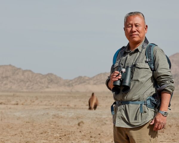 Il faut sauver le chameau du désert de Gobi