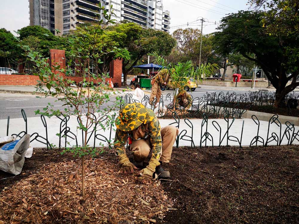 jardiniers de Medellín