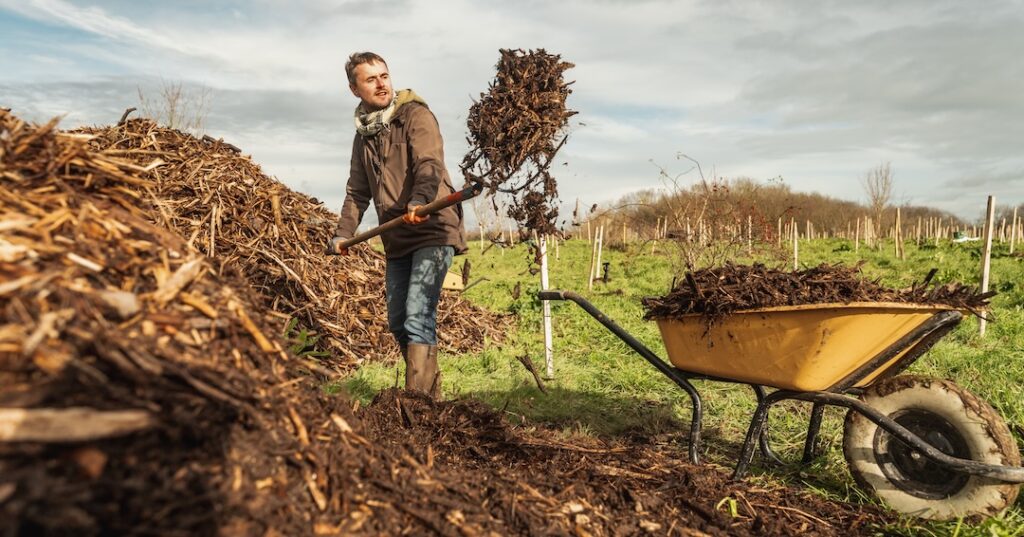 Créateur de forêt