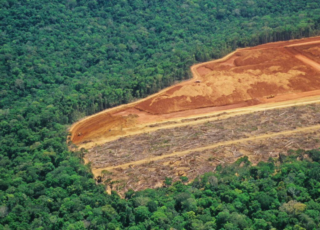 déforestation amazonie ressources naturelles