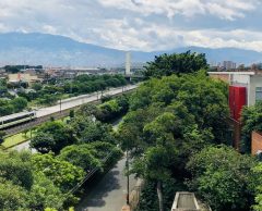 À Medellín, en Colombie, le miracle de la forêt urbaine