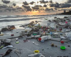 Pollution plastique triplée d’ici 2060 : « Il y a urgence à agir », pour la Fondation Tara Océan
