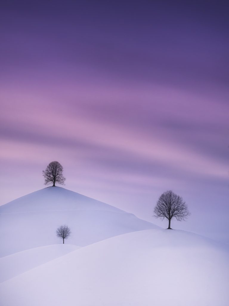 Photographe : Cédric Tamani. "The Drumlins in Winter".