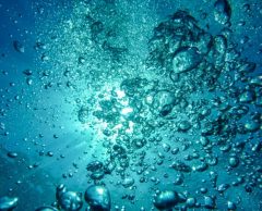 CES 2019 : six produits connectés à l’avenir de l’eau