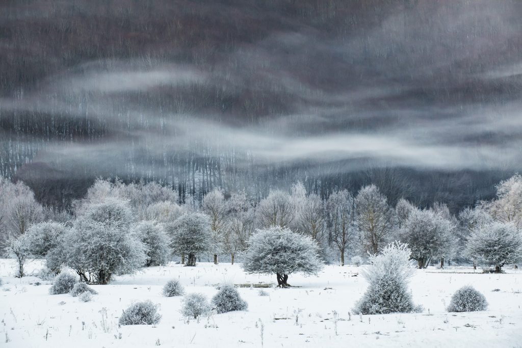 Photographe : Mimmo Salierno. "The Winter of the Lake".