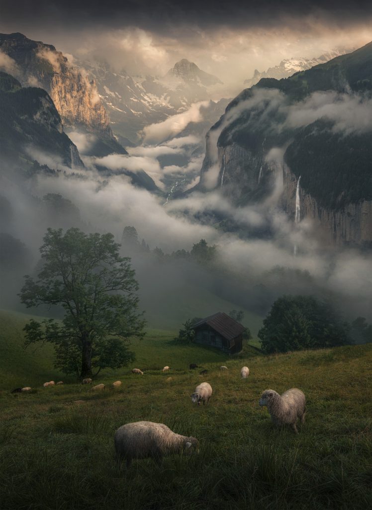 Photographe : Max Rive. "Inhabitants Alps".