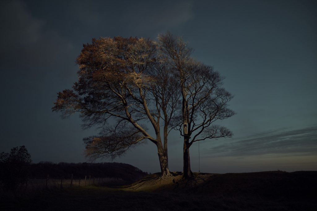TREE. Photographe : Gareth Iwan Jones.