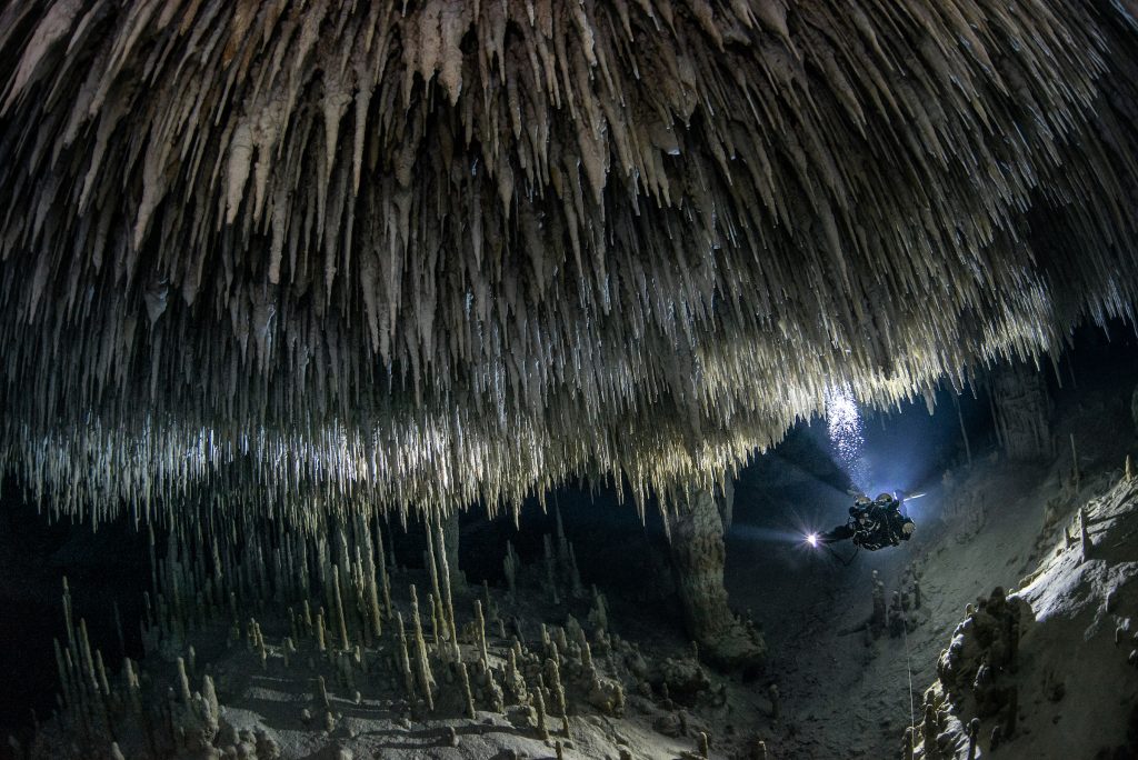 Au fond d'un cénote de la péninsule mexicaine du Yucatán, le photographe Tom St George a rencontré cette caverne d'un autre monde, apparemment sans vie. 