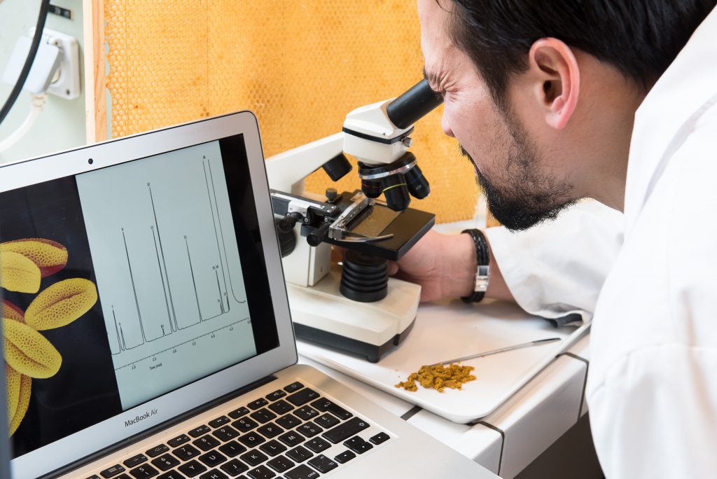 Après récupération des échantillons de pollen, ils sont analysés en laboratoire. Photo : BeeOdiversity.