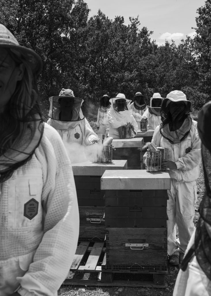 Sept femmes engagées pour la survie des abeilles. Photo : Charlotte Abramow.