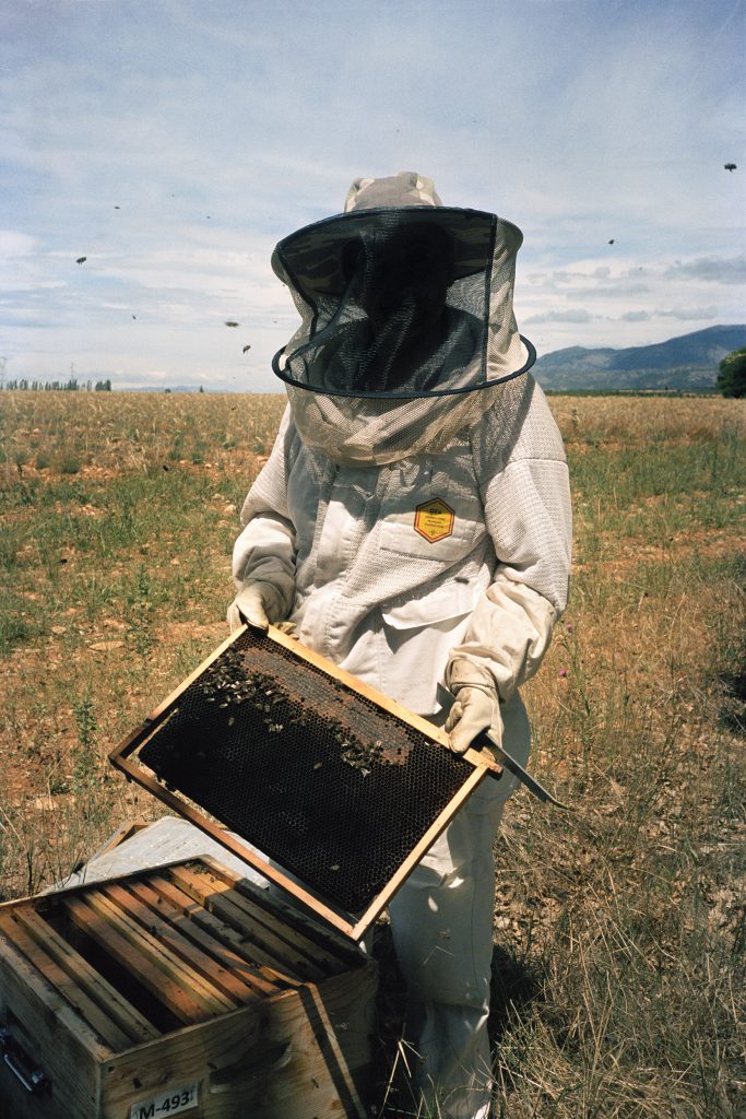 L'apiculture, un vrai métier passion. Photo : Charlotte Abramow.