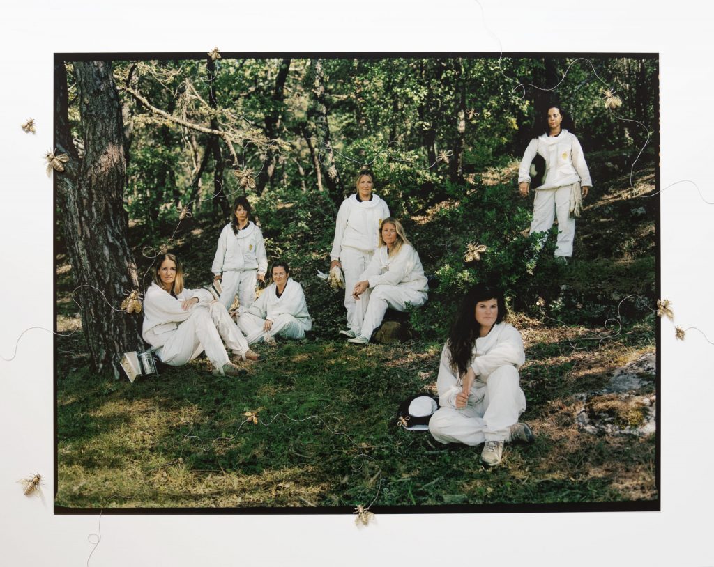 Aggelina, Charlotte, Dorothée, Léopoldine, Lorène, Maël et Oriane, sept femmes au chevet des abeilles. Photo : Charlotte Abramow.