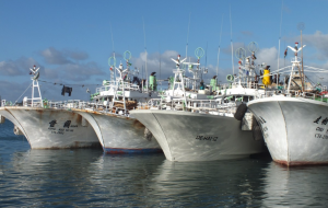 Fraudes dans la pêche industrielle néerlandaise : le Parquet européen saisit