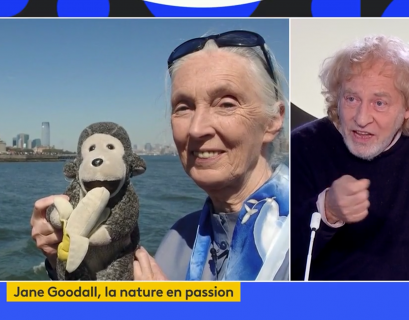Jane Goodall Franceinfo