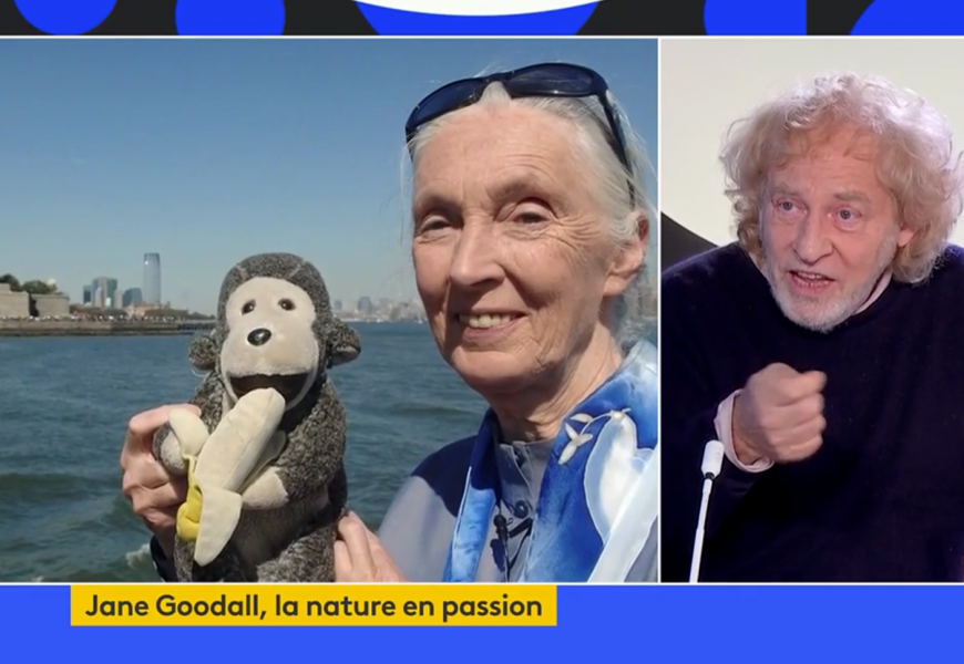 Jane Goodall Franceinfo