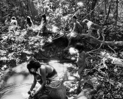 EXPO – L’Amazonie puissante et fragile de Sebastião Salgado