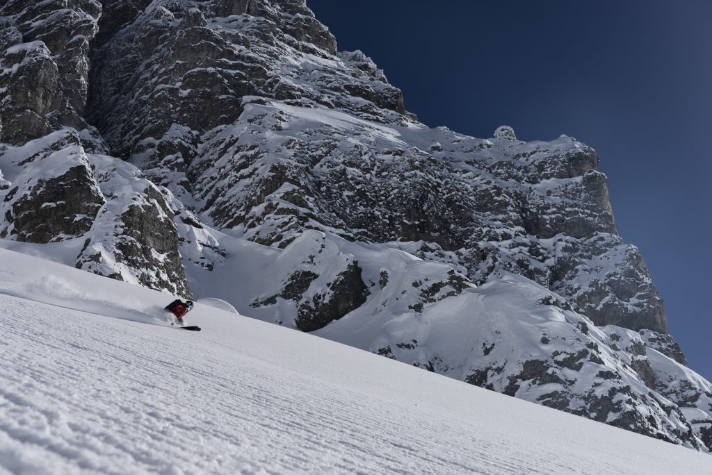 Préserver ce qu'il reste d'espaces sauvages plutôt que de bétonner. Photo : Johannes Aitzetmüller.